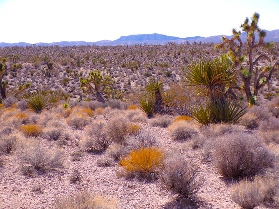 photo10.jpg