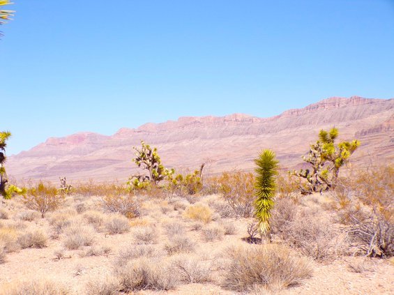 photo11.jpg