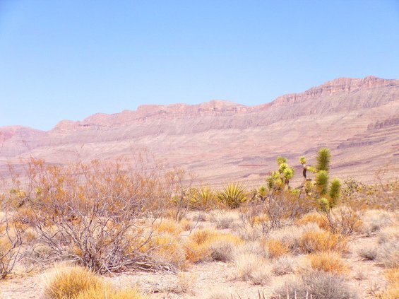 photo20.jpg