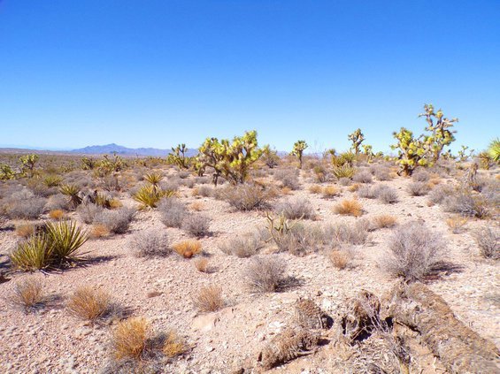 photo27.jpg