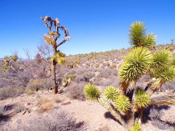 photo33.jpg