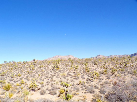 photo38.jpg