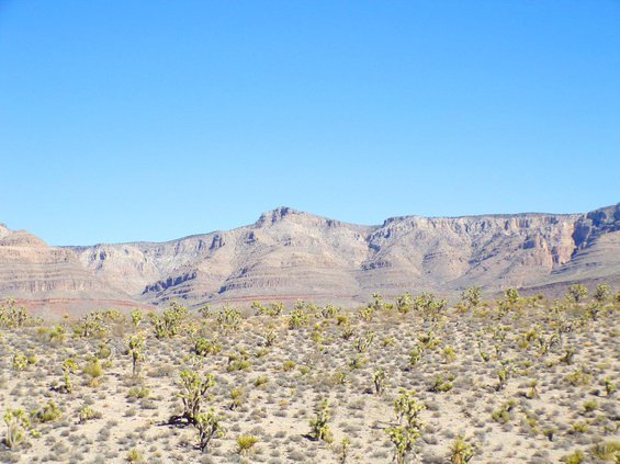 photo42.jpg
