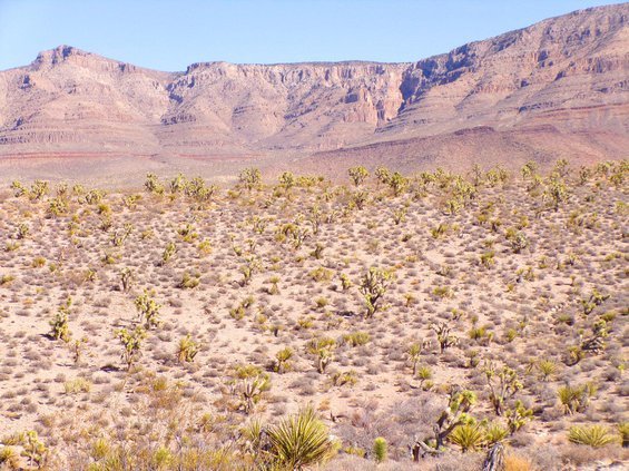 photo45.jpg