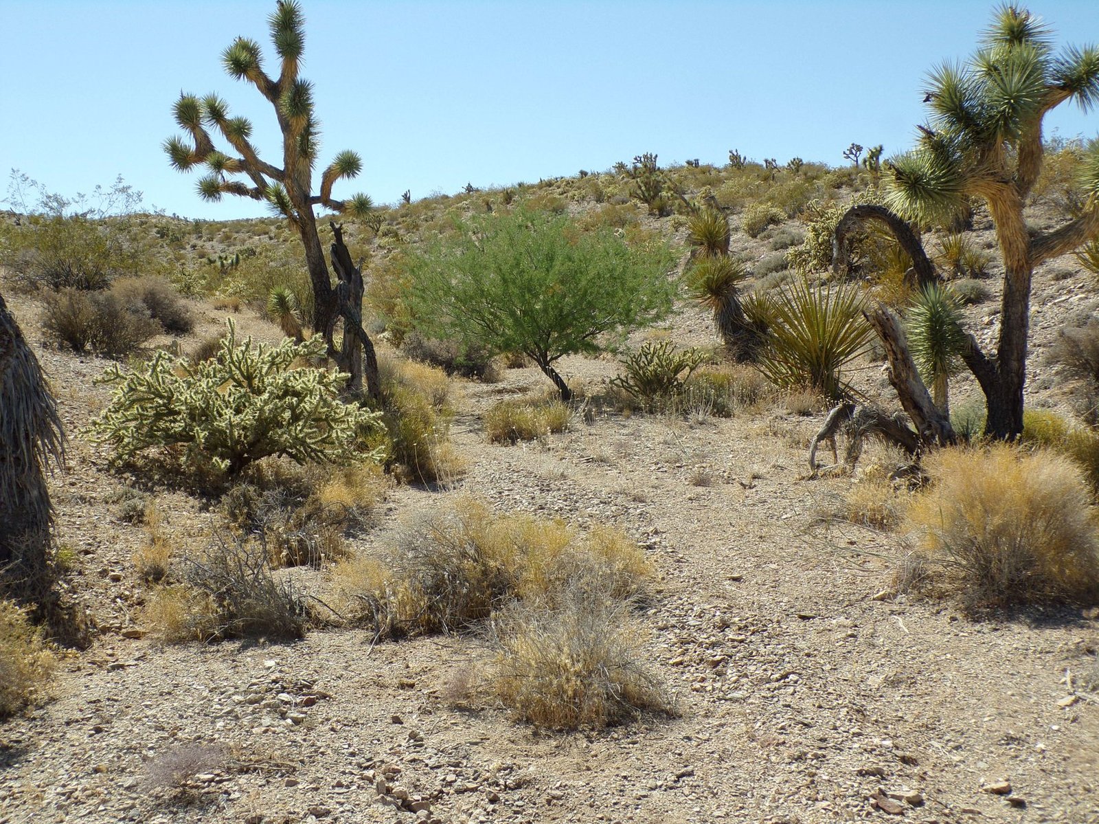 photo59.jpg