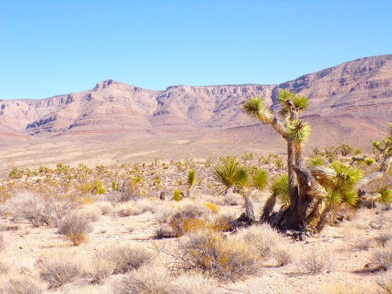 photo7.jpg